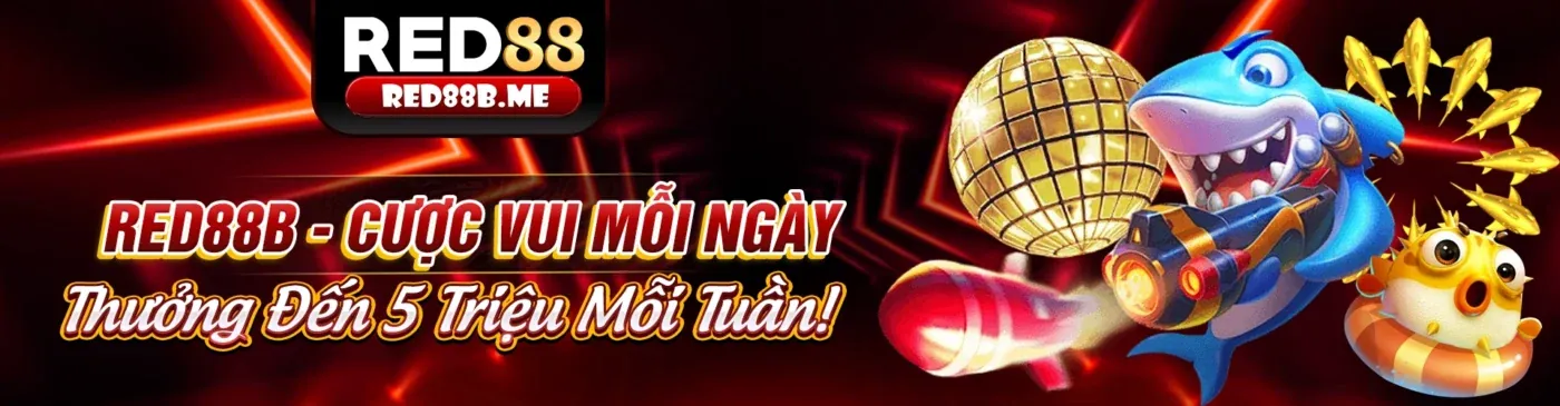 Hình ảnh đại diện cho Chính sách Cookie và bảo mật dữ liệu của z8bet link mới