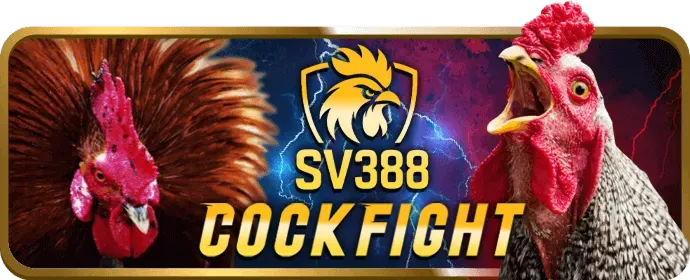 Khuyến mãi chào mừng z8bet link mới